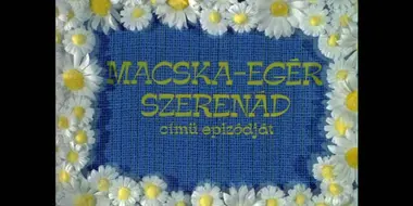 Macska-egér szerenád