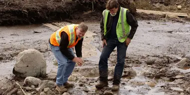 Bromancing the Stones