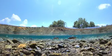 Light on a Raging River