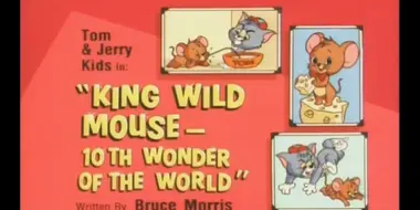 King Wild Mouse - 10th Wonder of the World