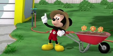 Mickey's Water Hose Woes!