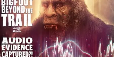Bigfoot Audio Evidence Captured?! (Audio Analysis Video)