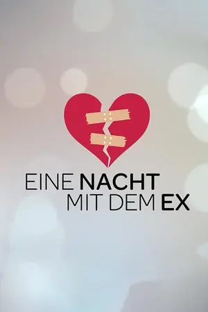 Eine Nacht mit dem Ex