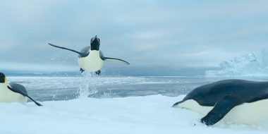 Southern Ocean