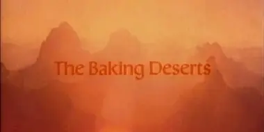 Baking Deserts