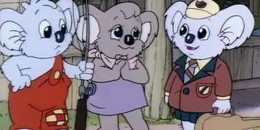 Who is Blinky Bill