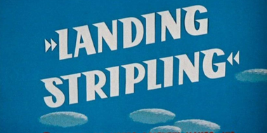 Landing Stripling