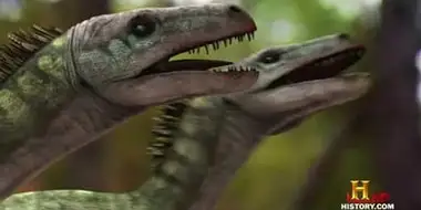 Raptor vs T-Rex