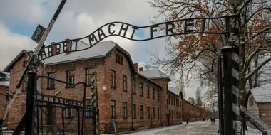 The Holocaust