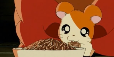 Hamtaro, Please Come Home!