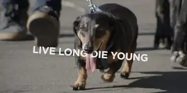 Live Long Die Young