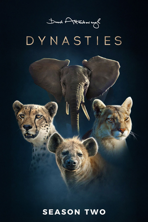 Dynasties II