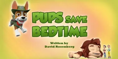 Pups Save Bedtime