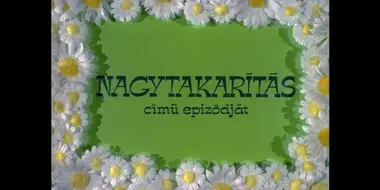 Nagytakarítás