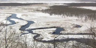 Kushiro Wetland in Harsh Winter