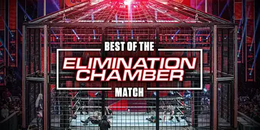 The Best of WWE: Best of the Elimination Chamber Match