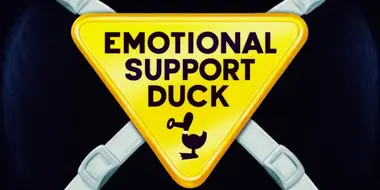 Emotional Support Duck