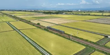 Rice and Sake from Niigata to Yamagata