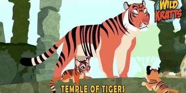 Temple Of Tigers