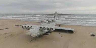 The Beached Leviathan