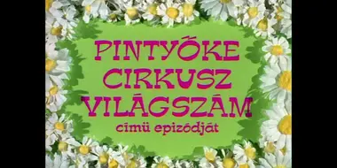 Pintyőke cirkusz világszám