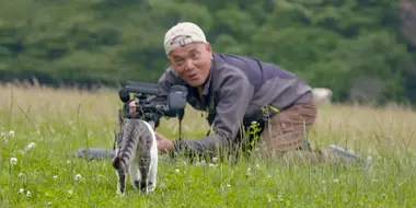 The Key to a Kitty's Heart - A Cat's-Eye View of Japan Special