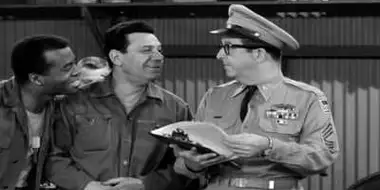 Bilko's Merry Widow