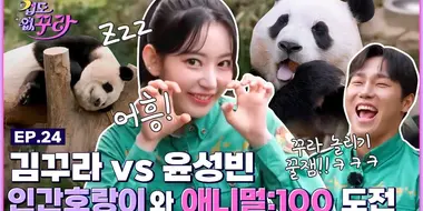 Sakura X Yun Sung Bin! Animal: 100 Challenge with Fu Bao, Tiger and T Express!