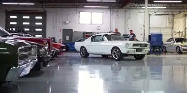 A Mustang's Twists and Turns