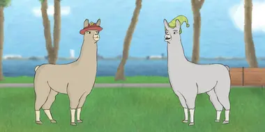 Llamas with Hats 5