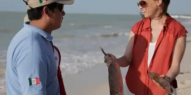 Celestún: Coastal Cooking