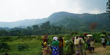 Cannabis in Congo