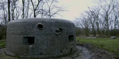 Hitler's Fighting Retreat