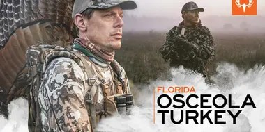 Florida Osceola Turkey