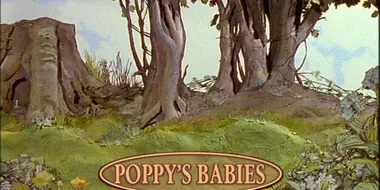 Poppy's Babies