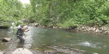 Fly Fishing in Niseko