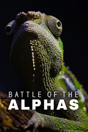 Battle of the Alphas