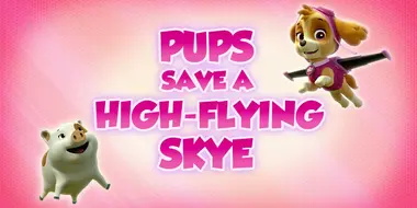 Pups Save a High-Flying Skye