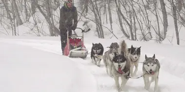 Dogsledding in Kitataisetsu