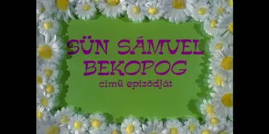 Sün Sámuel bekopog