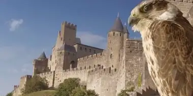 Carcassone: The Realm of the Owl