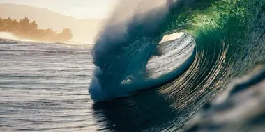 The Wave