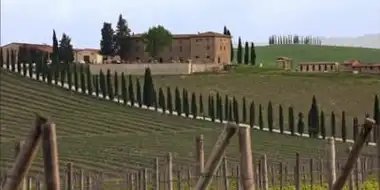 Siena and Tuscany's Wine Country