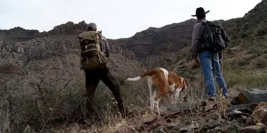 The Fair Chase: Arizona Mountain Lion