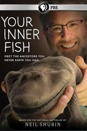 Your Inner Fish
