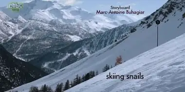 Black slope for gastropod skiers