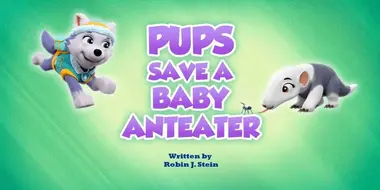 Pups Save a Baby Anteater