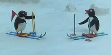 Pingu the Cross Country Skier