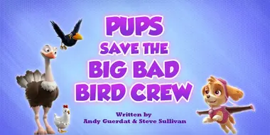 Pups Save a Big Bad Bird Crew