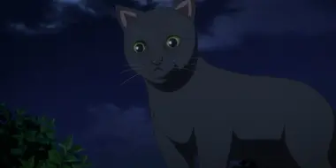 The Black Cat Yoru's Adventure (2)